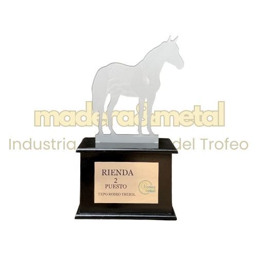 Imagen de Trofeo en acrílico equitación - M1.5570 